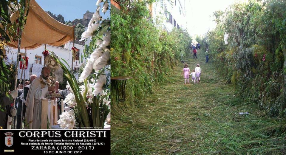 Casas Paraje Natural 자하라 데 라 시에라 외부 사진